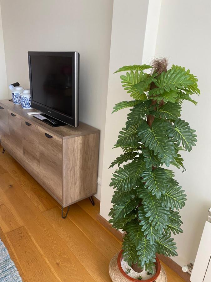 Voila Catedral Apartment Тудела Екстериор снимка